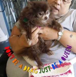 Meet your Posher, Caroline